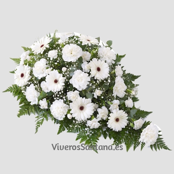 Centro Funerario