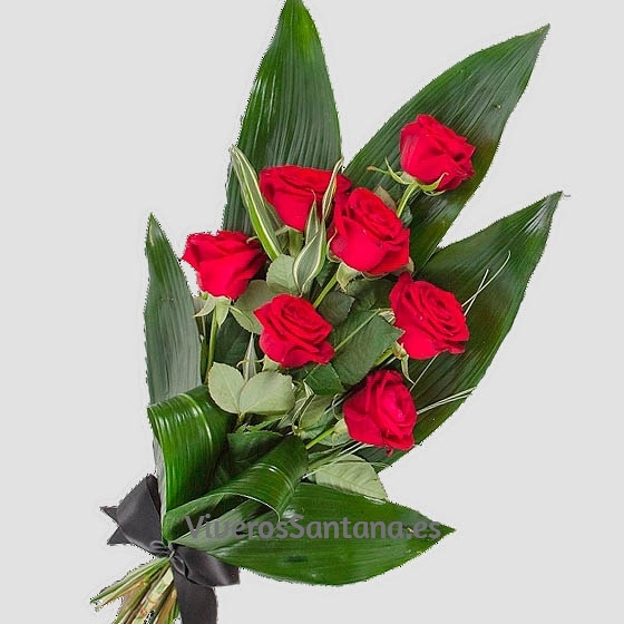 ramo funerario 7 rosas rojas